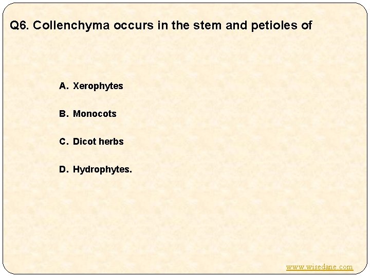 Q 6. Collenchyma occurs in the stem and petioles of A. Xerophytes B. Monocots