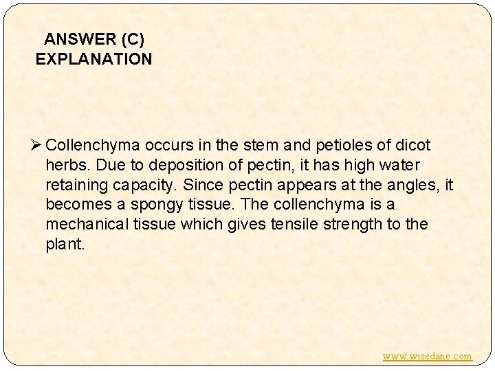 ANSWER (C) EXPLANATION Ø Collenchyma occurs in the stem and petioles of dicot herbs.