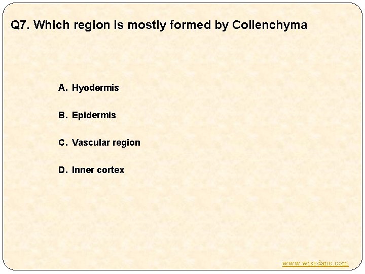 Q 7. Which region is mostly formed by Collenchyma A. Hyodermis B. Epidermis C.