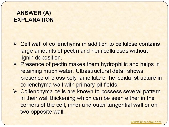 ANSWER (A) EXPLANATION Ø Cell wall of collenchyma in addition to cellulose contains large