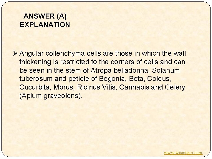 ANSWER (A) EXPLANATION Ø Angular collenchyma cells are those in which the wall thickening