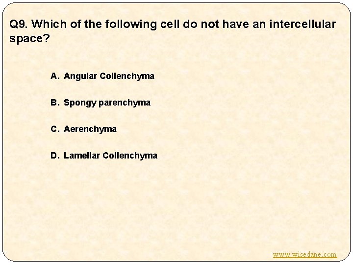 Q 9. Which of the following cell do not have an intercellular space? A.