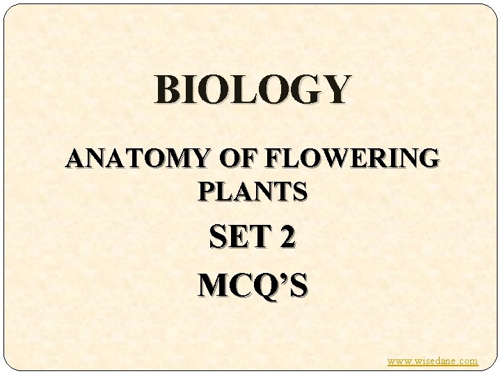 BIOLOGY ANATOMY OF FLOWERING PLANTS SET 2 MCQ’S www. wisedane. com 