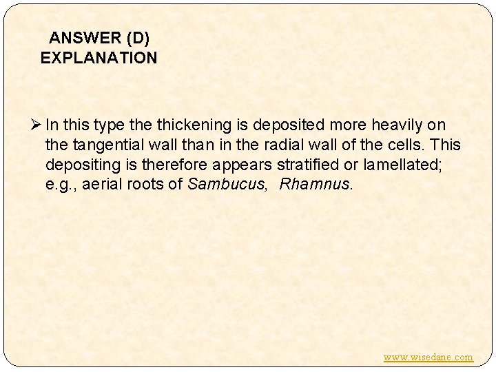 ANSWER (D) EXPLANATION Ø In this type thickening is deposited more heavily on the