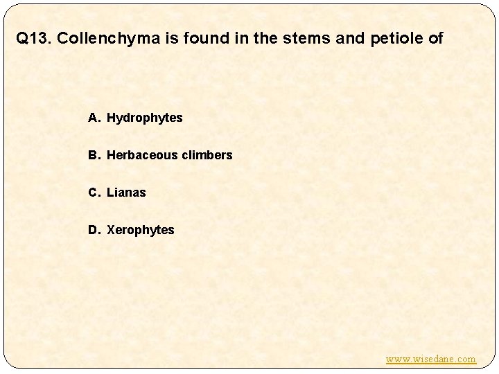 Q 13. Collenchyma is found in the stems and petiole of A. Hydrophytes B.