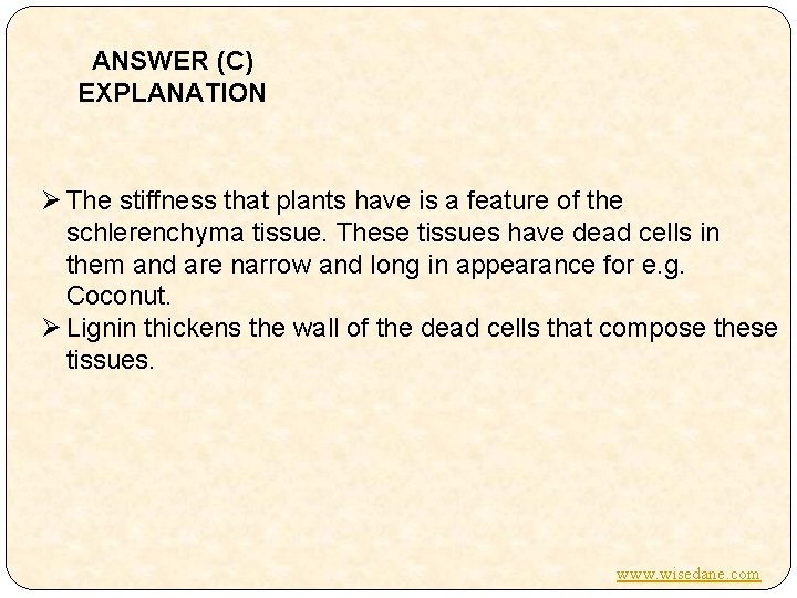 ANSWER (C) EXPLANATION Ø The stiffness that plants have is a feature of the