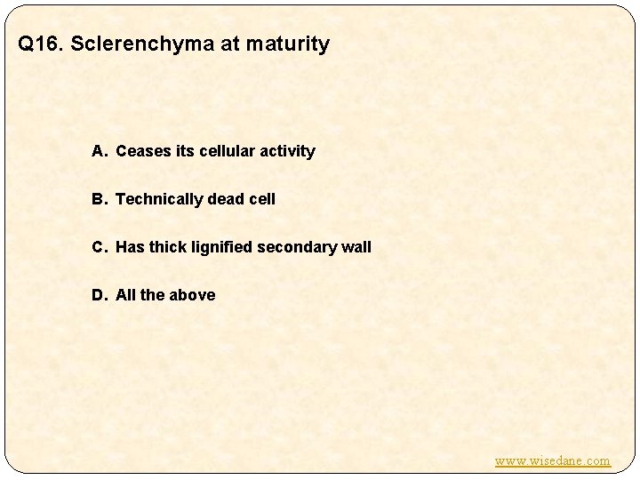 Q 16. Sclerenchyma at maturity A. Ceases its cellular activity B. Technically dead cell