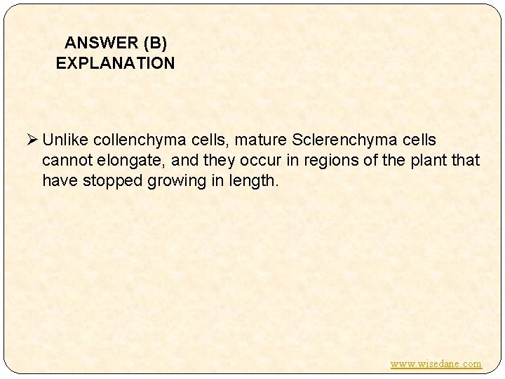 ANSWER (B) EXPLANATION Ø Unlike collenchyma cells, mature Sclerenchyma cells cannot elongate, and they