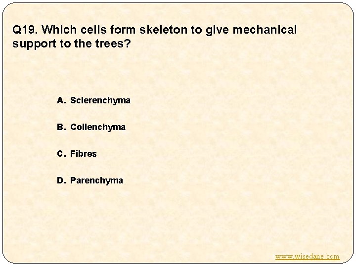 Q 19. Which cells form skeleton to give mechanical support to the trees? A.
