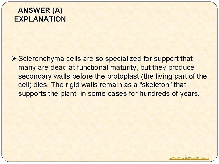 ANSWER (A) EXPLANATION Ø Sclerenchyma cells are so specialized for support that many are