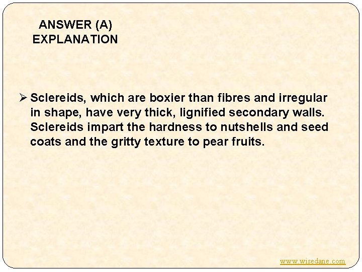 ANSWER (A) EXPLANATION Ø Sclereids, which are boxier than fibres and irregular in shape,