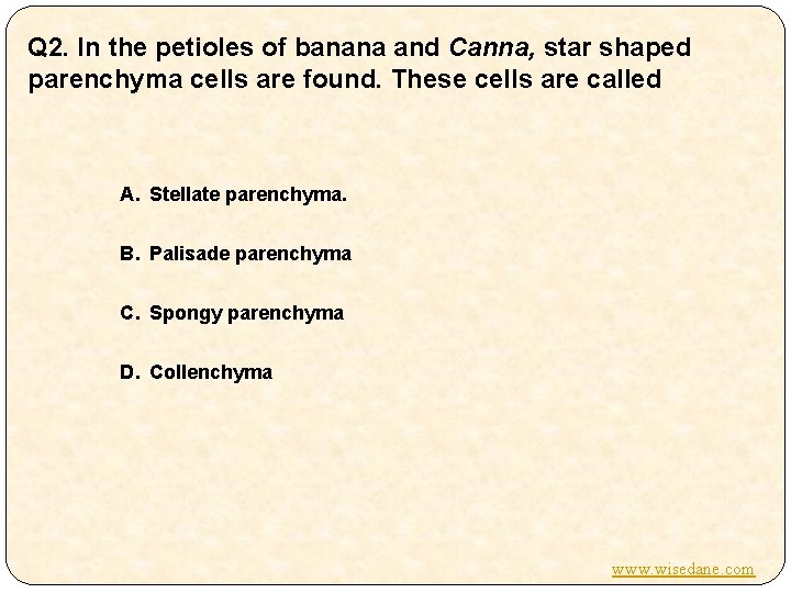 Q 2. In the petioles of banana and Canna, star shaped parenchyma cells are