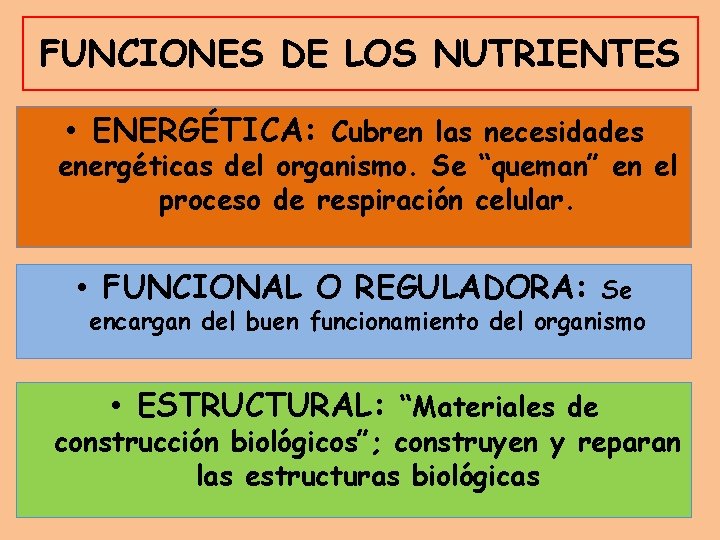 FUNCIONES DE LOS NUTRIENTES • ENERGÉTICA: Cubren las necesidades energéticas del organismo. Se “queman”