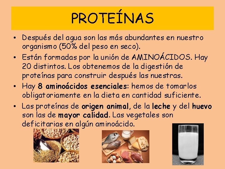 PROTEÍNAS • Después del agua son las más abundantes en nuestro organismo (50% del