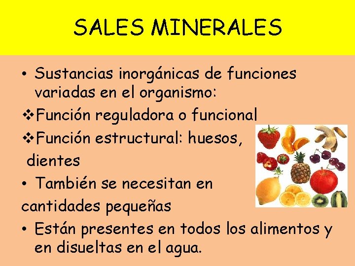 SALES MINERALES • Sustancias inorgánicas de funciones variadas en el organismo: v. Función reguladora