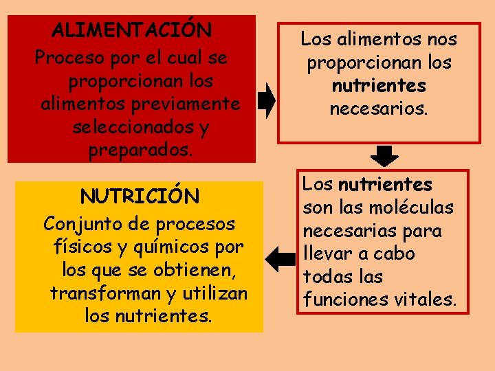 ALIMENTACIÓN Proceso por el cual se proporcionan los alimentos previamente seleccionados y preparados. NUTRICIÓN