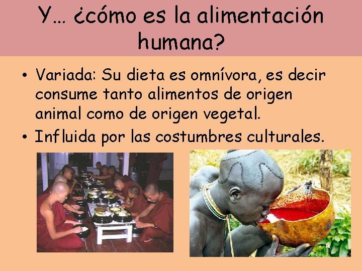 Y… ¿cómo es la alimentación humana? • Variada: Su dieta es omnívora, es decir