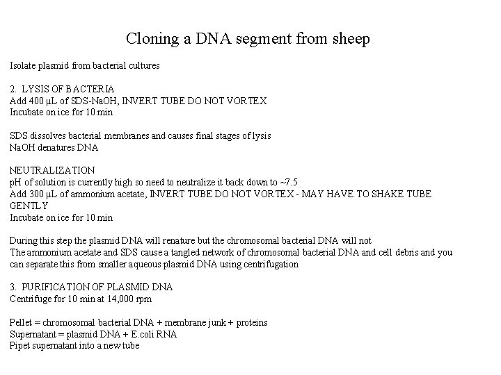 Cloning a DNA segment from sheep Isolate plasmid from bacterial cultures 2. LYSIS OF