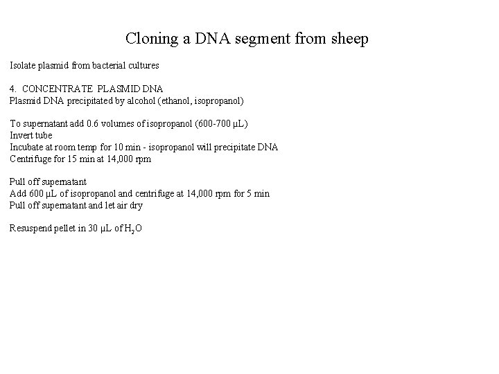Cloning a DNA segment from sheep Isolate plasmid from bacterial cultures 4. CONCENTRATE PLASMID