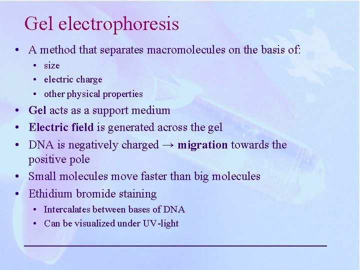 Gel electrophoresis • A method that separates macromolecules on the basis of: • size Gel electrophoresis • A method that separates macromolecules on the basis of: • size