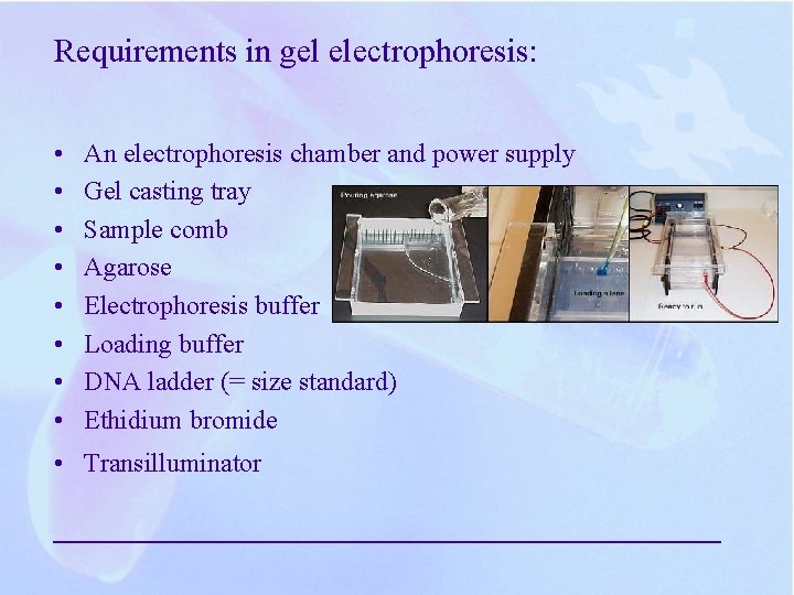 Requirements in gel electrophoresis: • • An electrophoresis chamber and power supply Gel casting