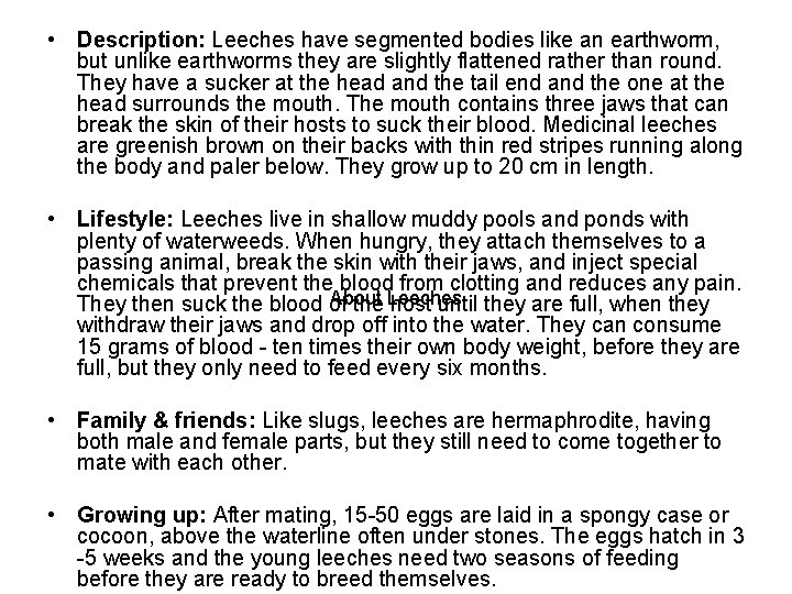  • Description: Leeches have segmented bodies like an earthworm, but unlike earthworms they