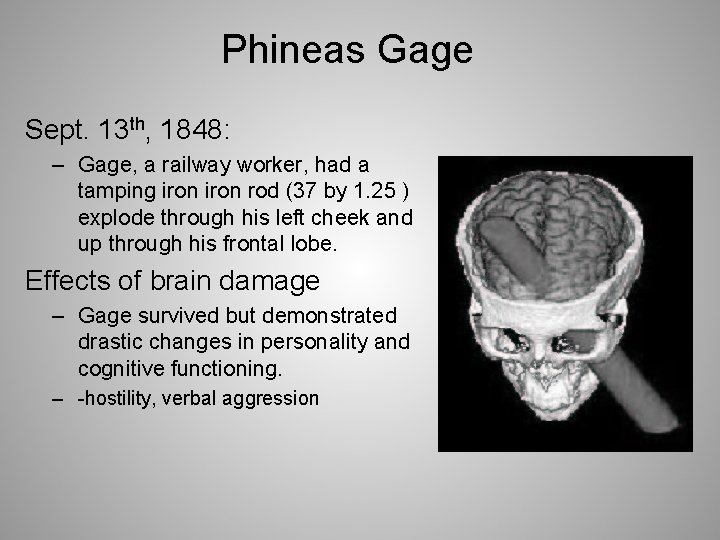 Phineas Gage Sept. 13 th, 1848: – Gage, a railway worker, had a tamping