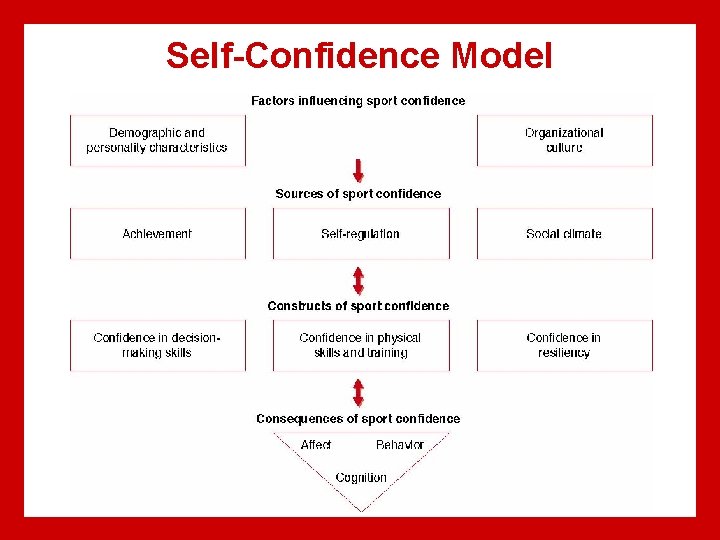 Self-Confidence Model 