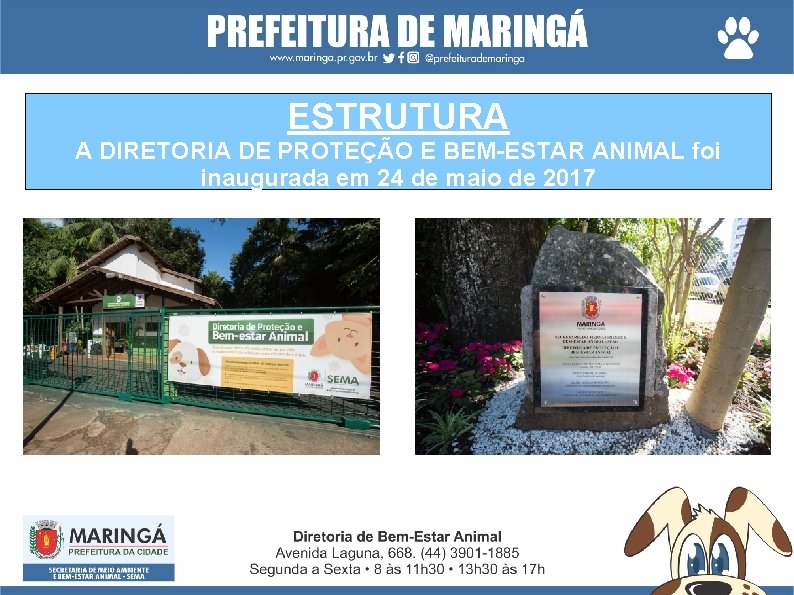 ESTRUTURA A DIRETORIA DE PROTEÇÃO E BEM-ESTAR ANIMAL foi inaugurada em 24 de maio