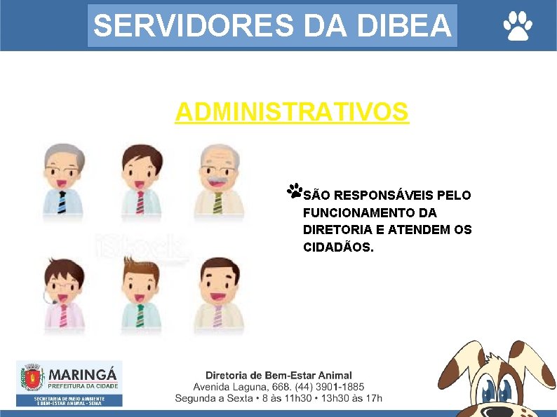 SERVIDORES DA DIBEA ADMINISTRATIVOS SÃO RESPONSÁVEIS PELO FUNCIONAMENTO DA DIRETORIA E ATENDEM OS CIDADÃOS.