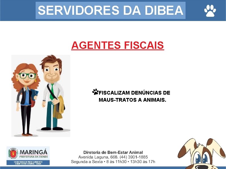 SERVIDORES DA DIBEA AGENTES FISCAIS FISCALIZAM DENÚNCIAS DE MAUS-TRATOS A ANIMAIS. 