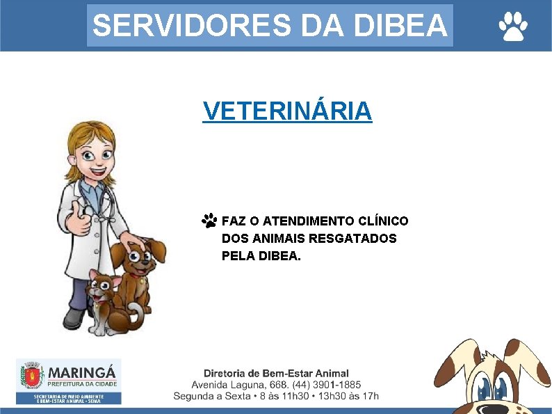 SERVIDORES DA DIBEA VETERINÁRIA FAZ O ATENDIMENTO CLÍNICO DOS ANIMAIS RESGATADOS PELA DIBEA. 