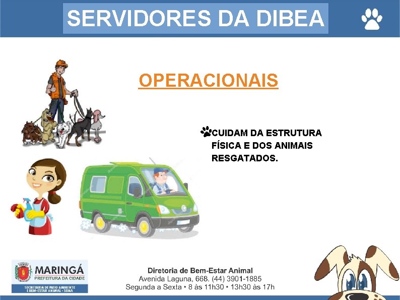 SERVIDORES DA DIBEA OPERACIONAIS CUIDAM DA ESTRUTURA FÍSICA E DOS ANIMAIS RESGATADOS. 