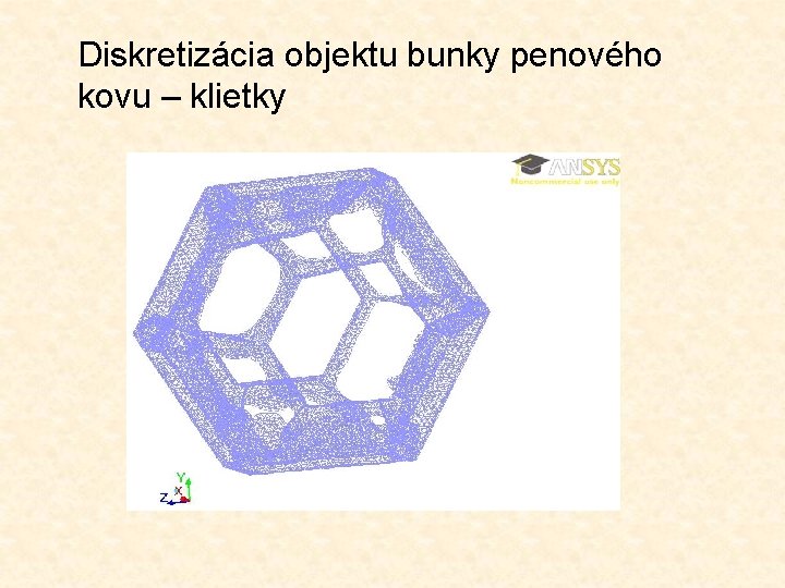 Diskretizácia objektu bunky penového kovu – klietky 