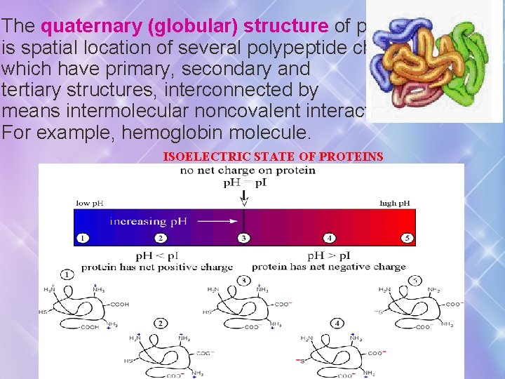 The quaternary (globular) structure of protein is spatial location of several polypeptide chains which