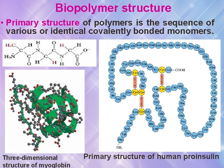Biopolymer structure • Primary structure of polymers is the sequence of various or identical