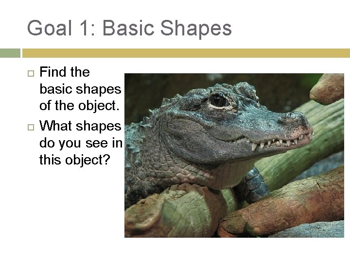 Goal 1: Basic Shapes Find the basic shapes of the object. What shapes do