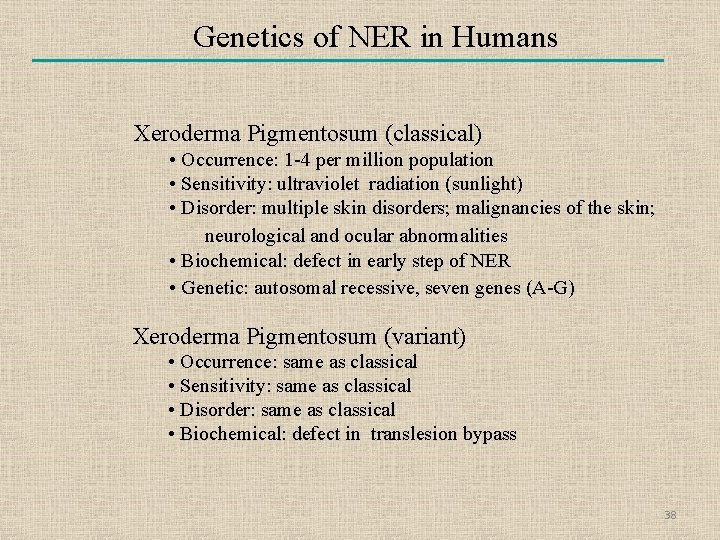 Genetics of NER in Humans Xeroderma Pigmentosum (classical) • Occurrence: 1 -4 per million