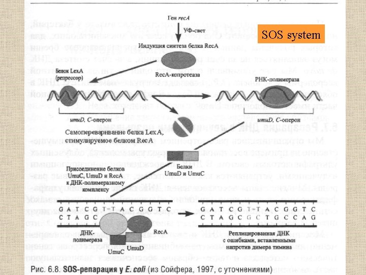SOS system 