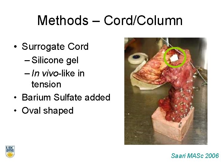 Methods – Cord/Column • Surrogate Cord – Silicone gel – In vivo-like in tension