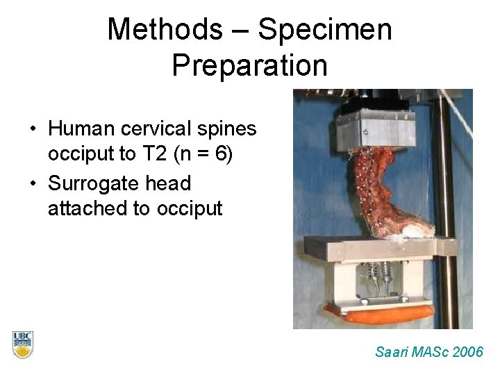 Methods – Specimen Preparation • Human cervical spines occiput to T 2 (n =