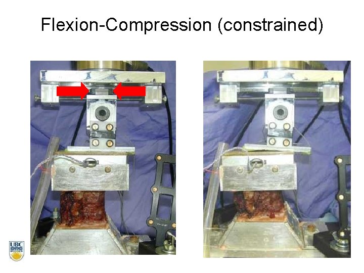 Flexion-Compression (constrained) 