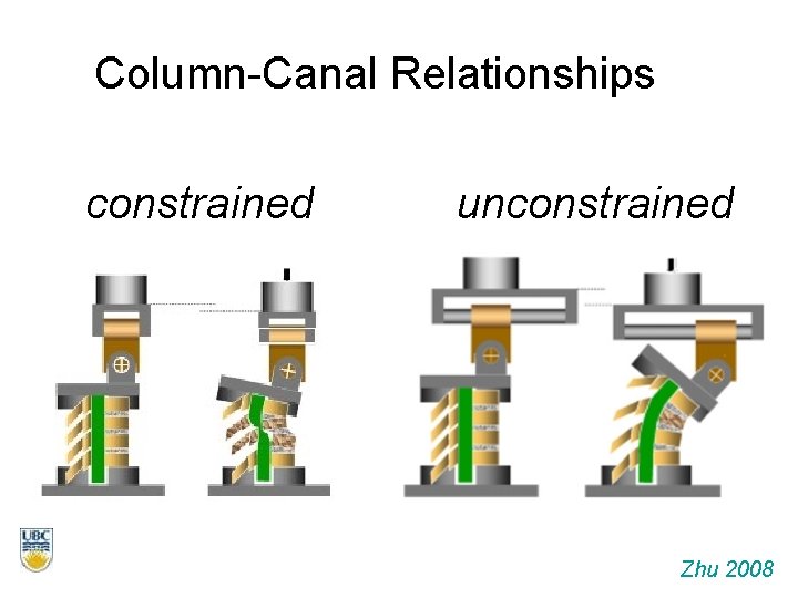 Column-Canal Relationships constrained unconstrained Zhu 2008 