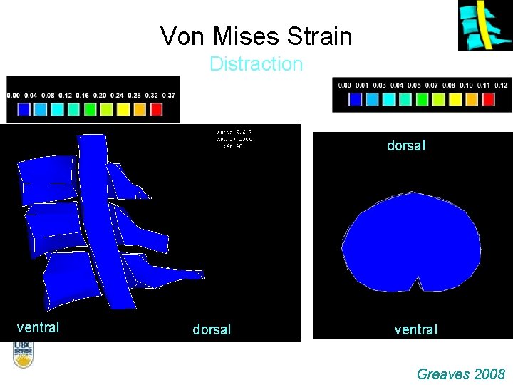 Von Mises Strain Distraction dorsal ventral Greaves 2008 