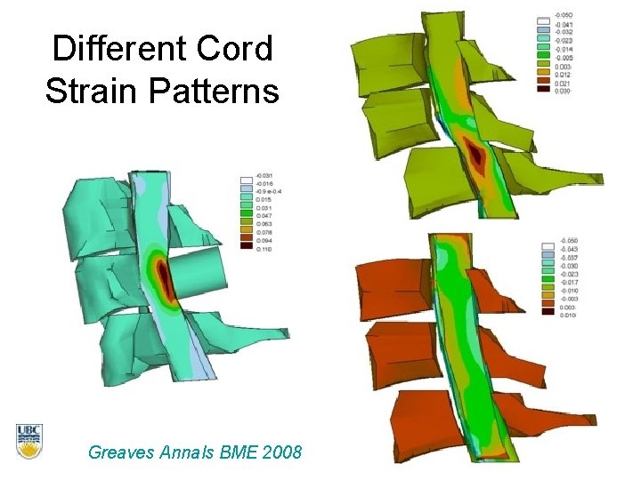 Different Cord Strain Patterns Greaves Annals BME 2008 