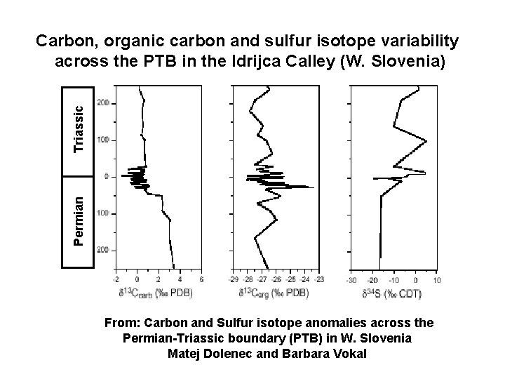 Permian Triassic Carbon, organic carbon and sulfur isotope variability across the PTB in the