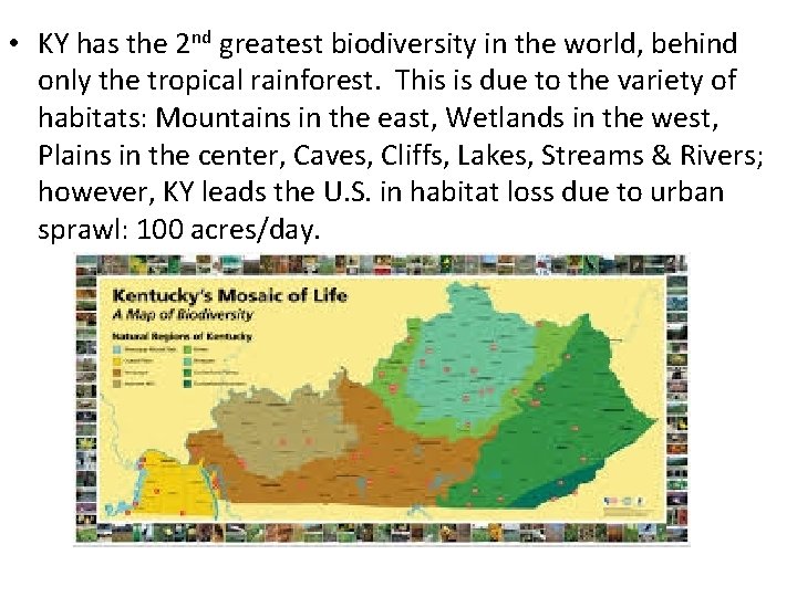  • KY has the 2 nd greatest biodiversity in the world, behind only