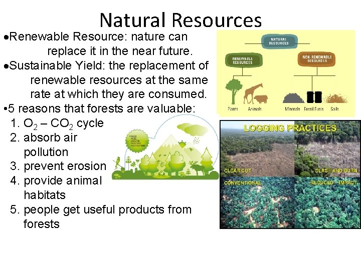 Natural Resources Renewable Resource: nature can replace it in the near future. Sustainable Yield:
