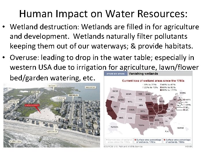 Human Impact on Water Resources: • Wetland destruction: Wetlands are filled in for agriculture