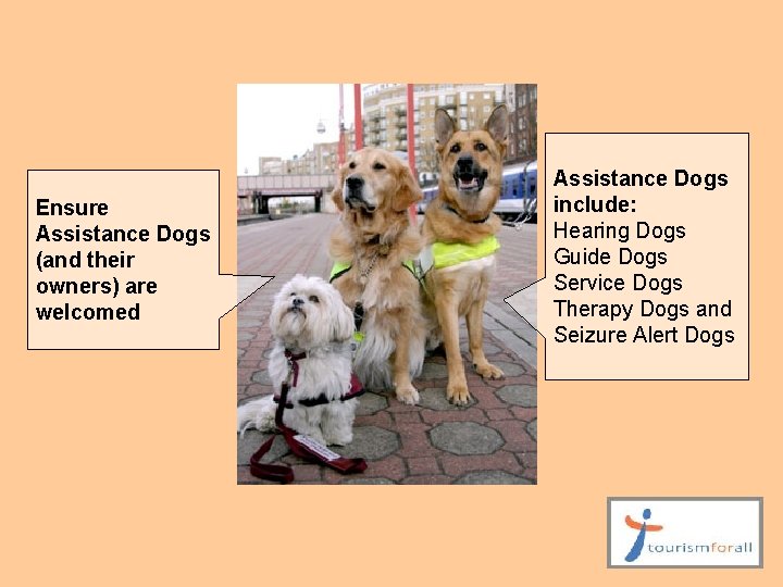 Ensure Assistance Dogs (and their owners) are welcomed Assistance Dogs include: Hearing Dogs Guide